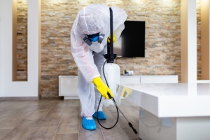 The Impact of Hiring Professional Pest Control in Woodlands, TX