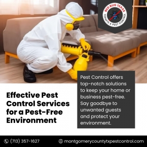 Protect Your Home: The Importance of Pest Control Service in Montgomery County, TX