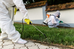 8 Essential Benefits of Professional Pest Control for Your Home